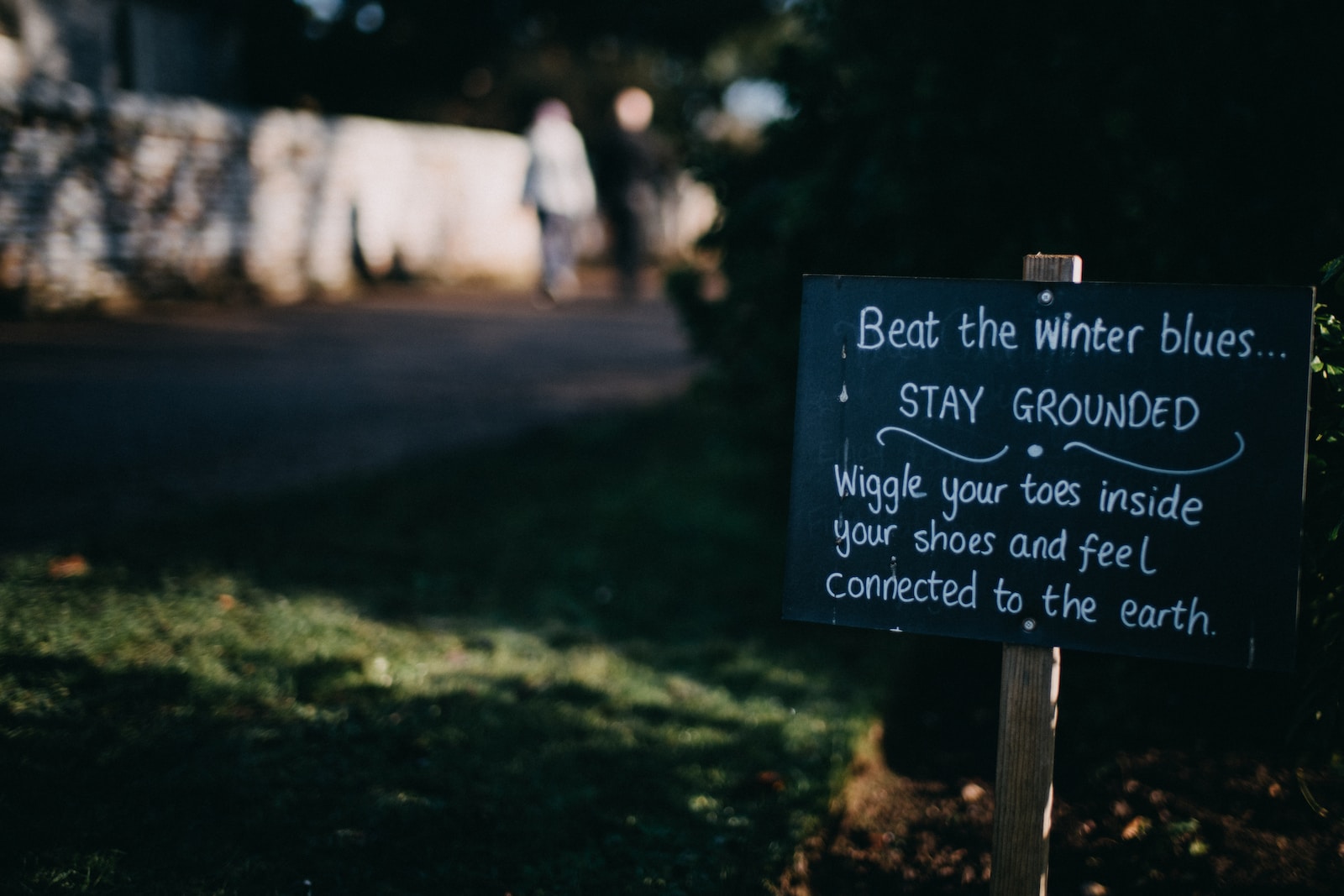 a sign in the grass that says beat the winter blues stay grounded wiggle your